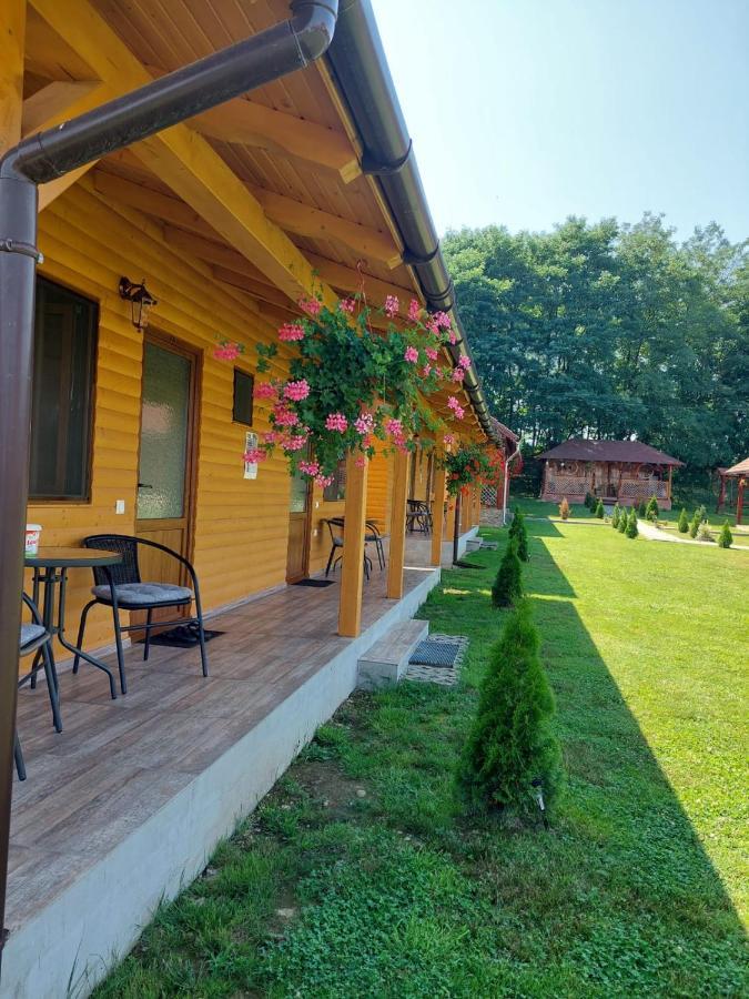 Pensiunea Sonia Cartisoara Exterior photo