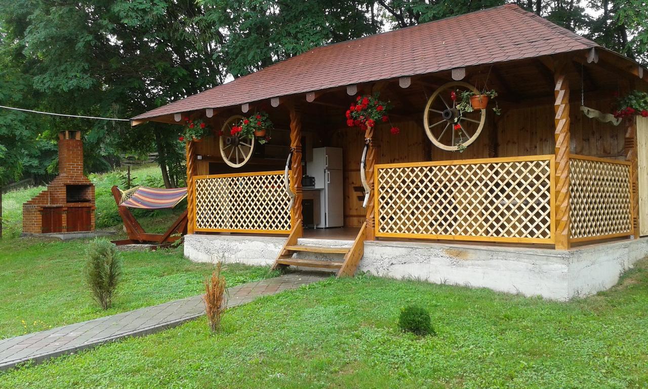 Pensiunea Sonia Cartisoara Exterior photo